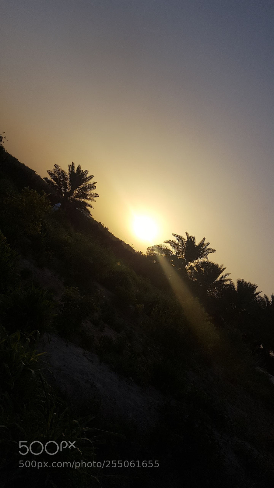 Samsung Galaxy S6 sample photo. Untitled photography