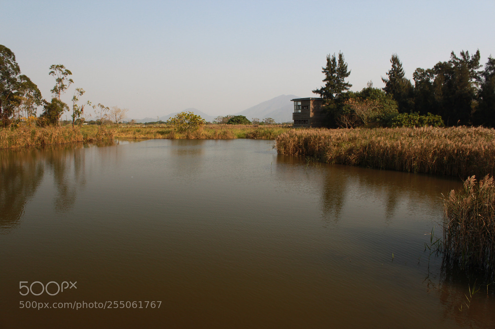 Canon EOS 500D (EOS Rebel T1i / EOS Kiss X3) sample photo. Img2016 photography