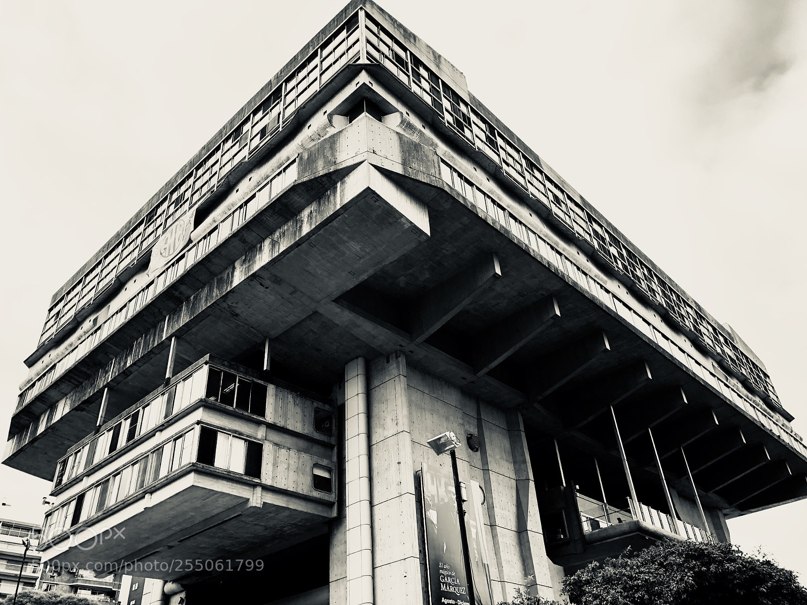 Apple iPhone X sample photo. Untitled photography