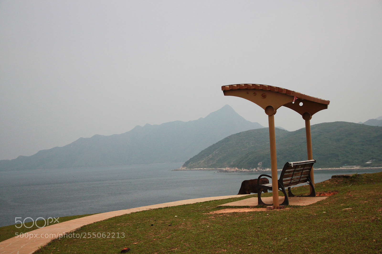 Canon EOS 500D (EOS Rebel T1i / EOS Kiss X3) sample photo. Img2016 photography