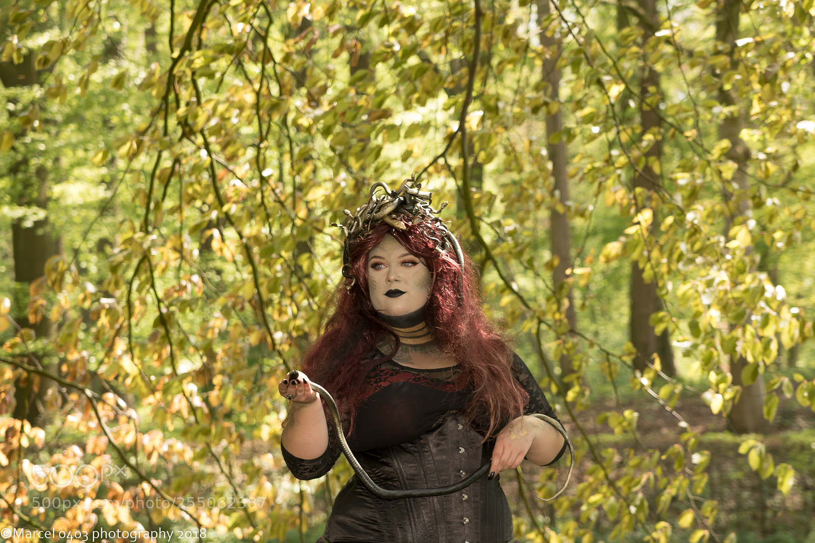 Canon EOS 760D (EOS Rebel T6s / EOS 8000D) sample photo. Elfia zondag photography