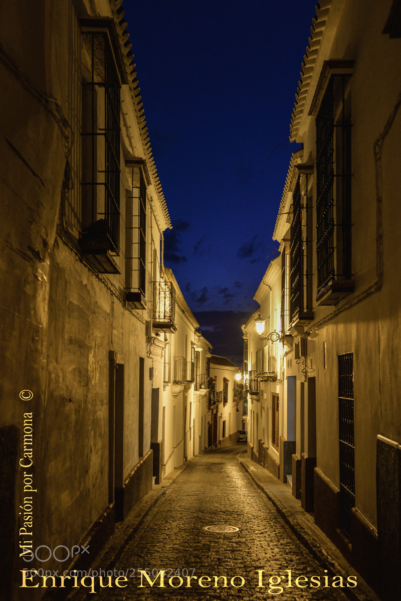 Nikon D610 sample photo. Un paseo por la photography