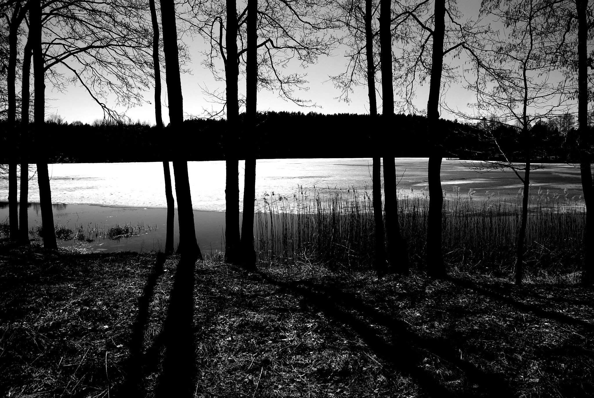 Nikon D80 sample photo. Between winter and spring photography