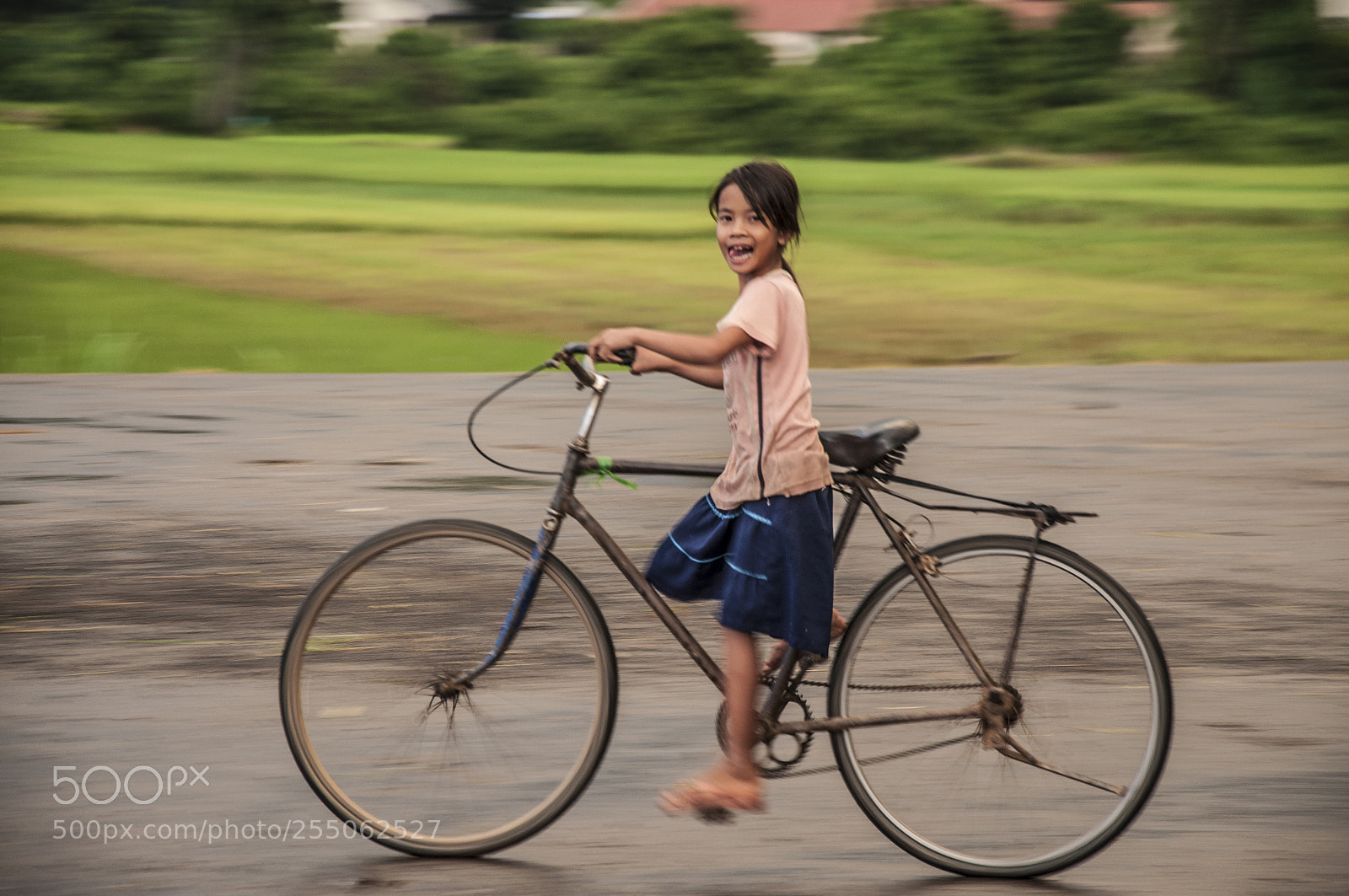 Nikon D90 sample photo. Vietnamese style photography