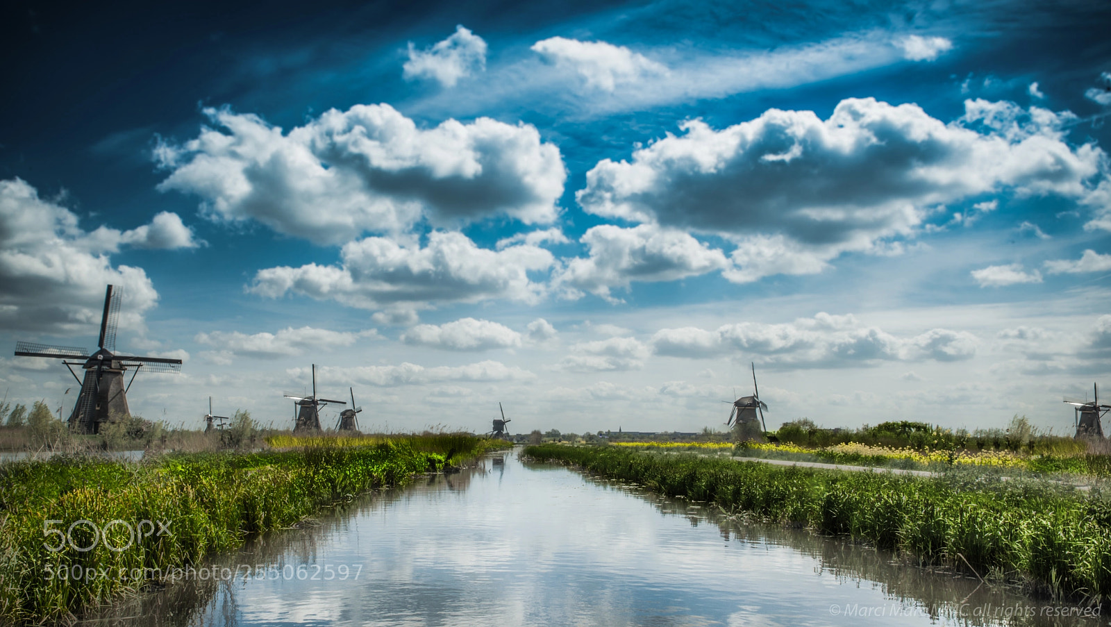 Nikon D800 sample photo. Kinderdijk rotterdam photography