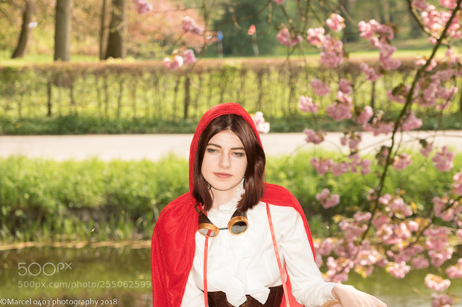 Canon EOS 760D (EOS Rebel T6s / EOS 8000D) sample photo. Elfia zondag photography