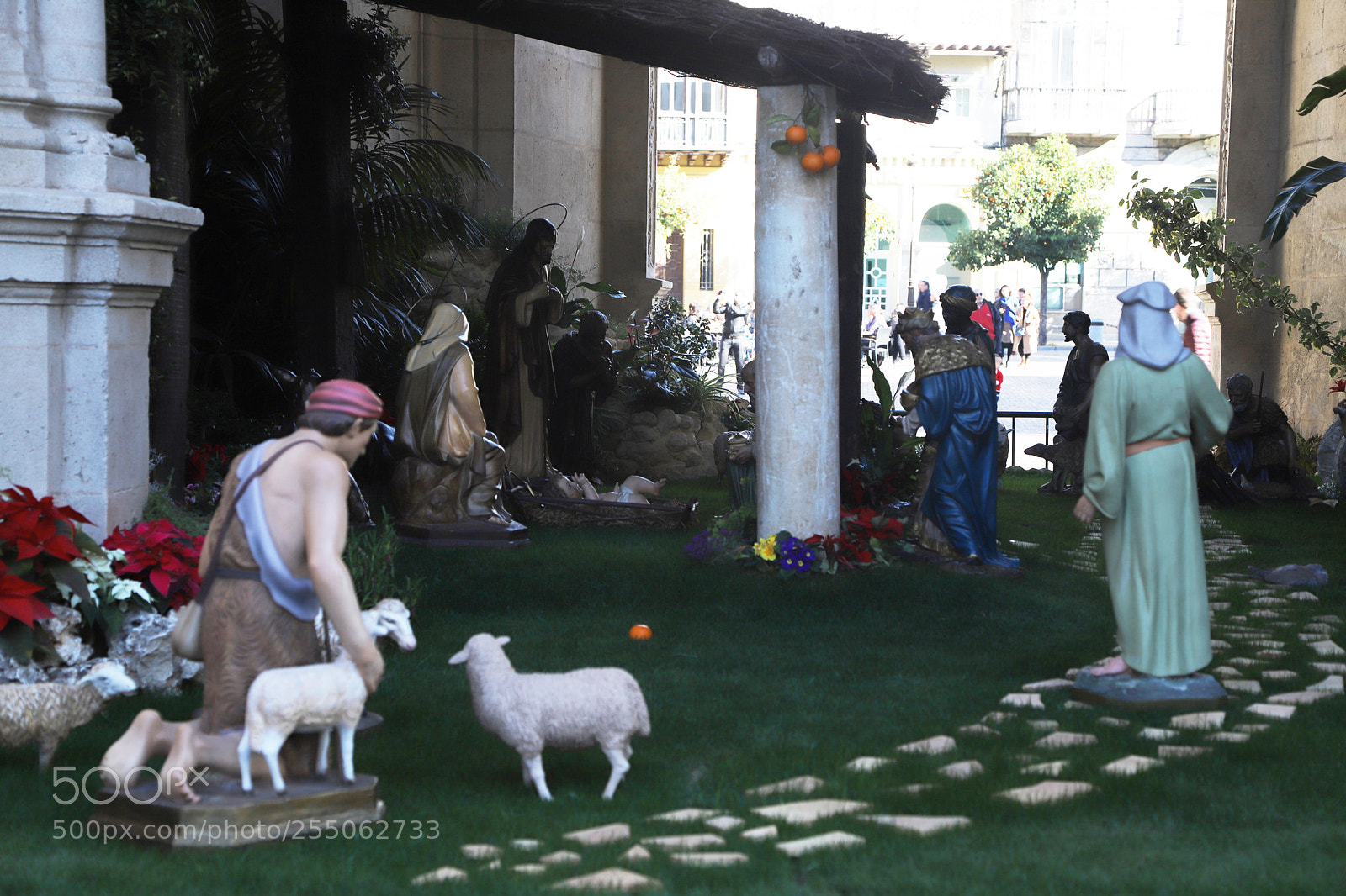 Canon EOS 6D Mark II sample photo. Trip to seville, spain. photography