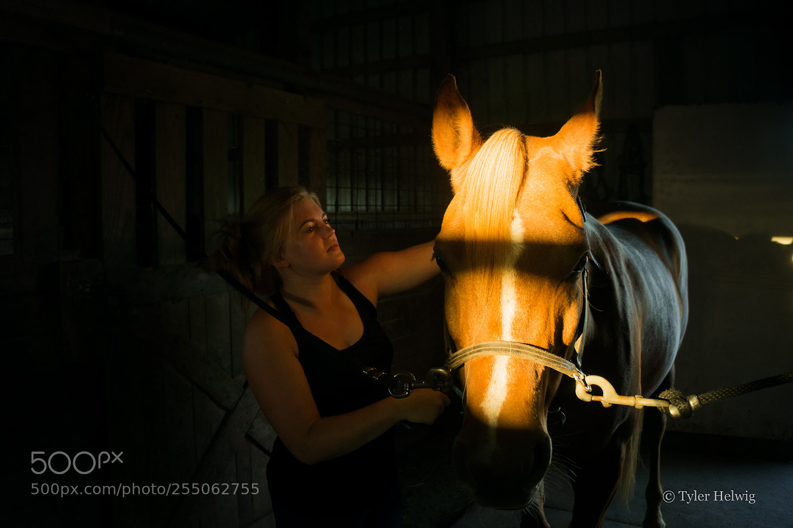 Sony Alpha a3000 sample photo. Golden barn photography