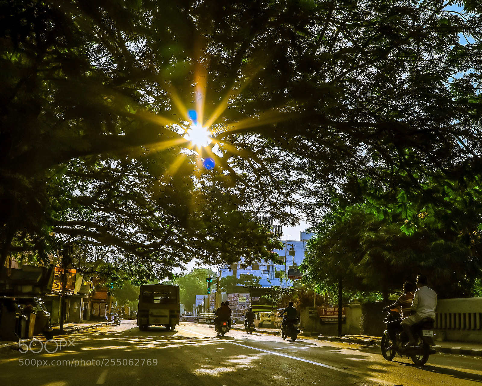 Canon EOS 5D Mark IV sample photo. A new day! photography