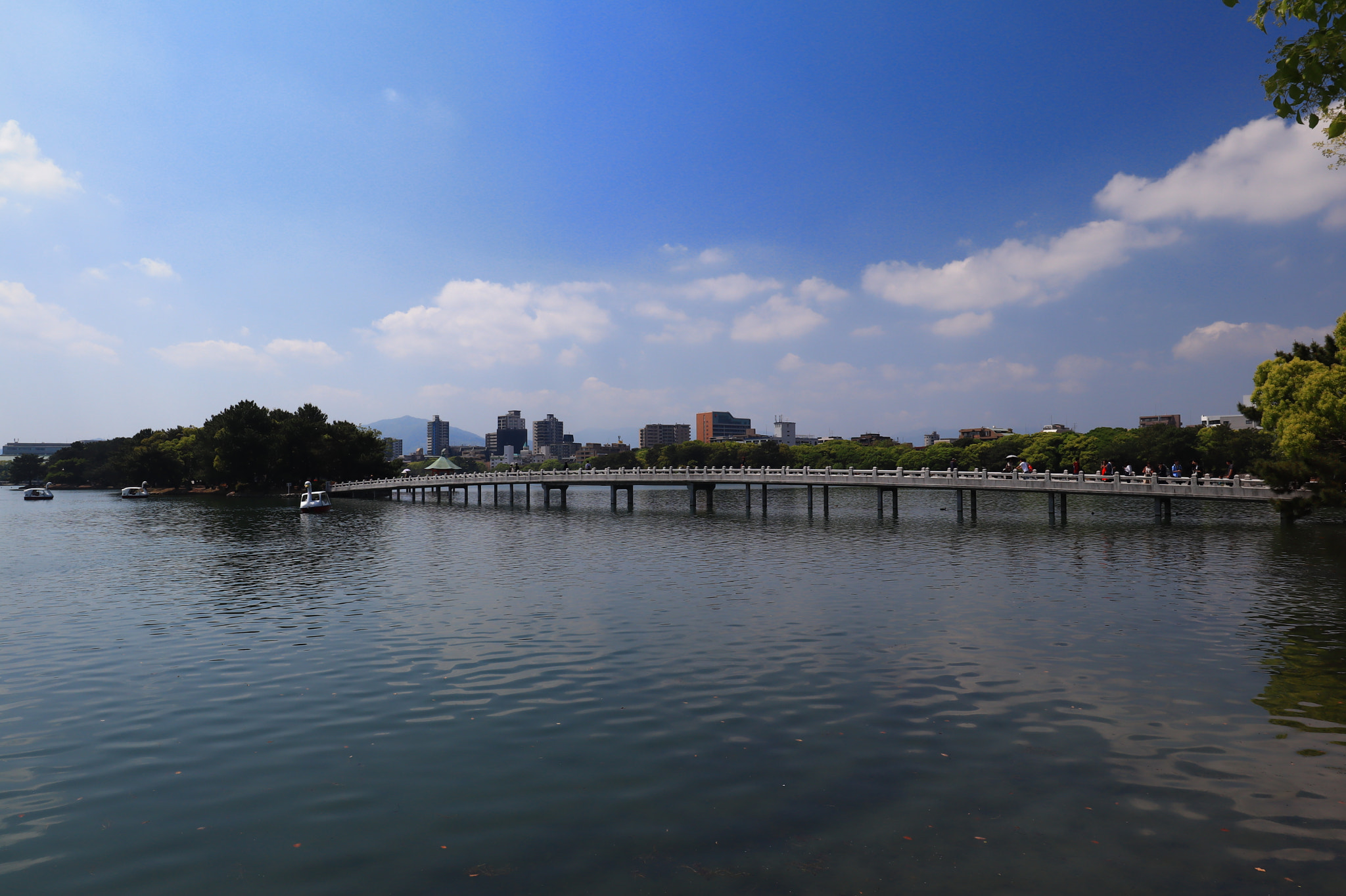 Canon EF-M 11-22mm F4-5.6 IS STM sample photo. 003 photography