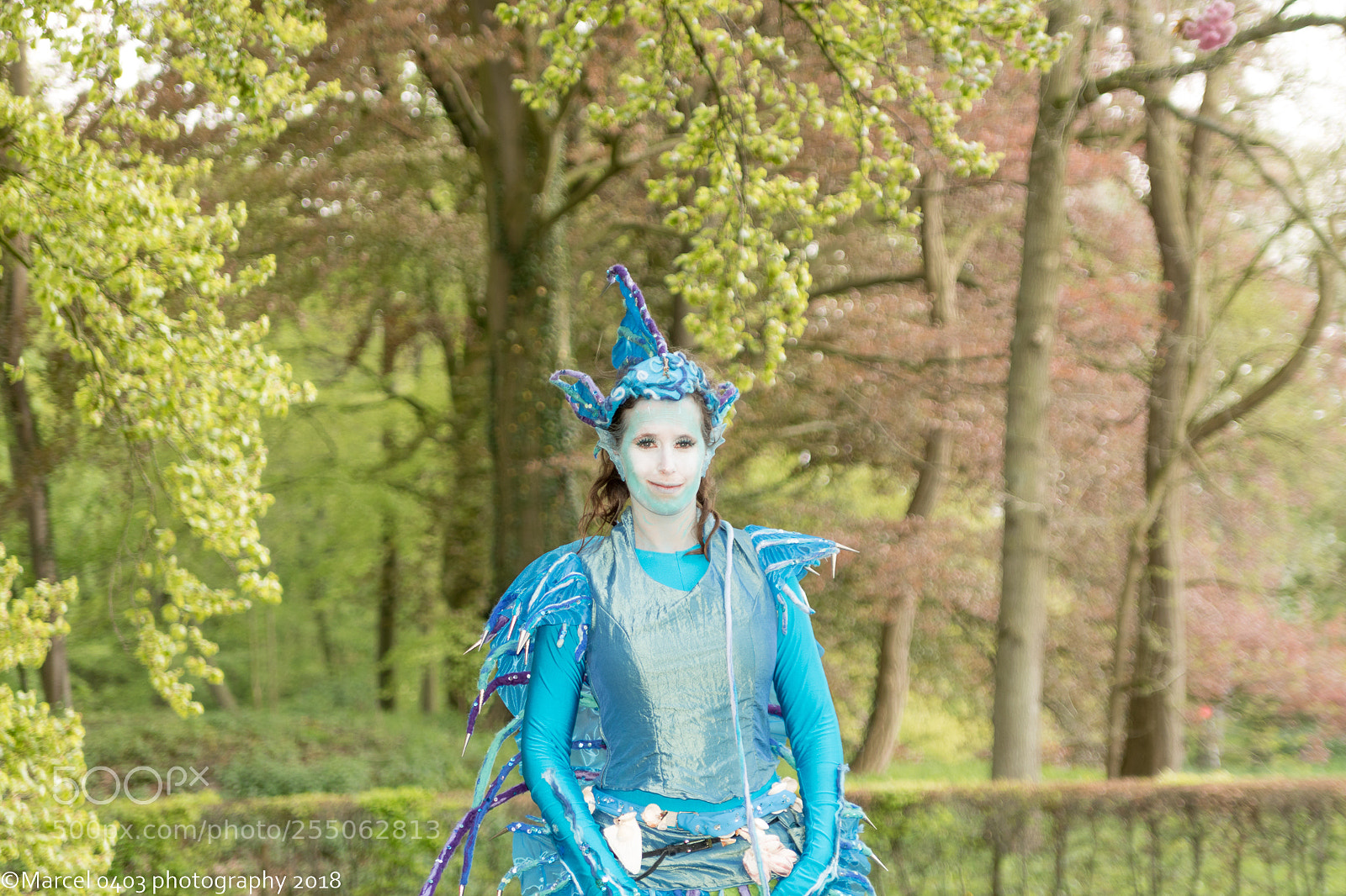 Canon EOS 760D (EOS Rebel T6s / EOS 8000D) sample photo. Elfia zondag photography