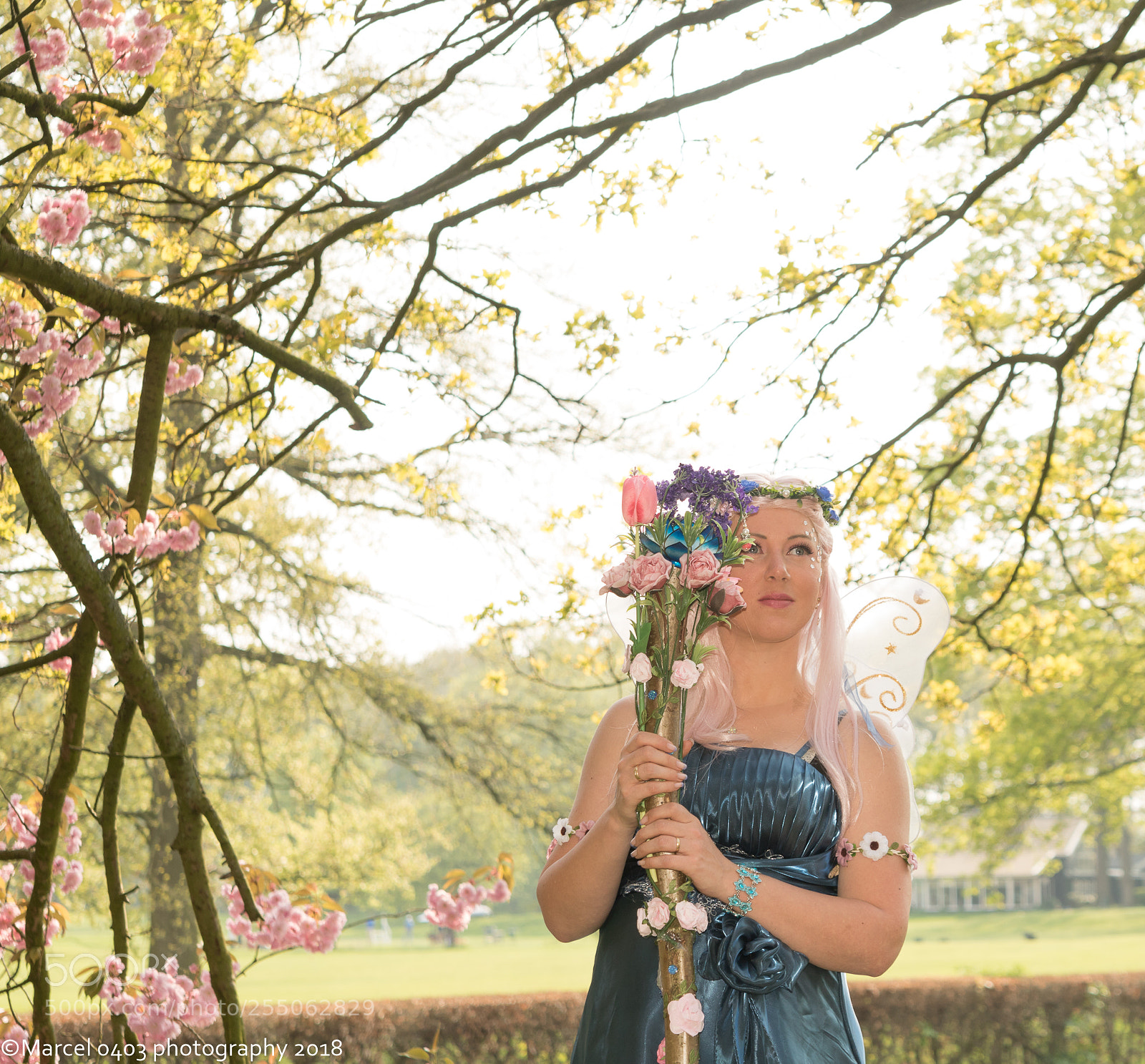 Canon EOS 760D (EOS Rebel T6s / EOS 8000D) sample photo. Elfia zondag photography