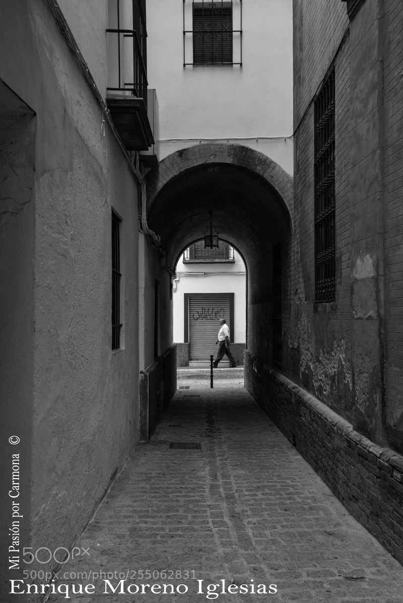 Nikon D610 sample photo. De paso. carmona (spain) photography