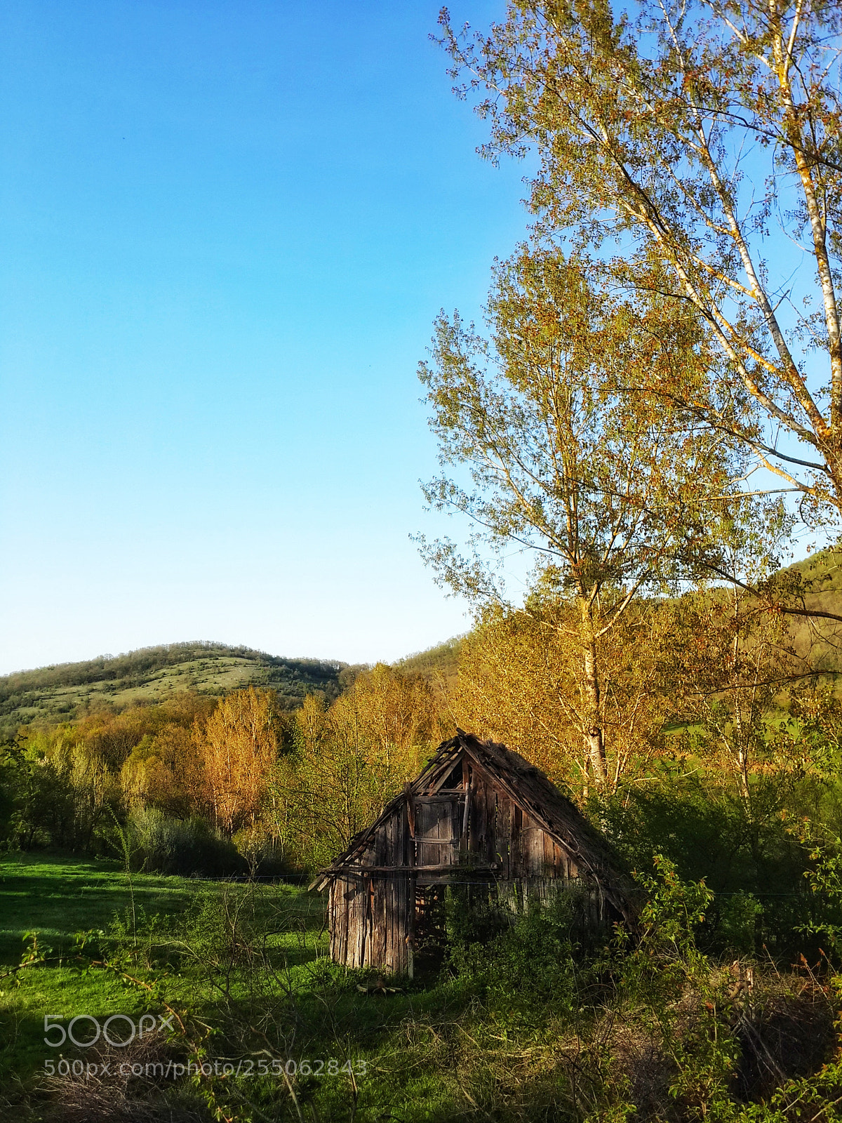 Samsung Galaxy S4 sample photo. Home photography