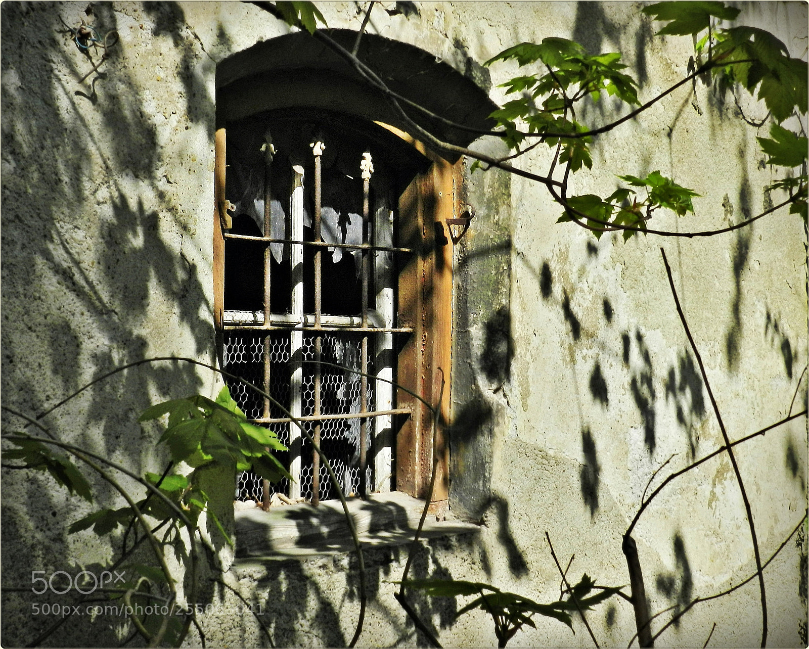 Nikon Coolpix P500 sample photo. Lost place - light photography