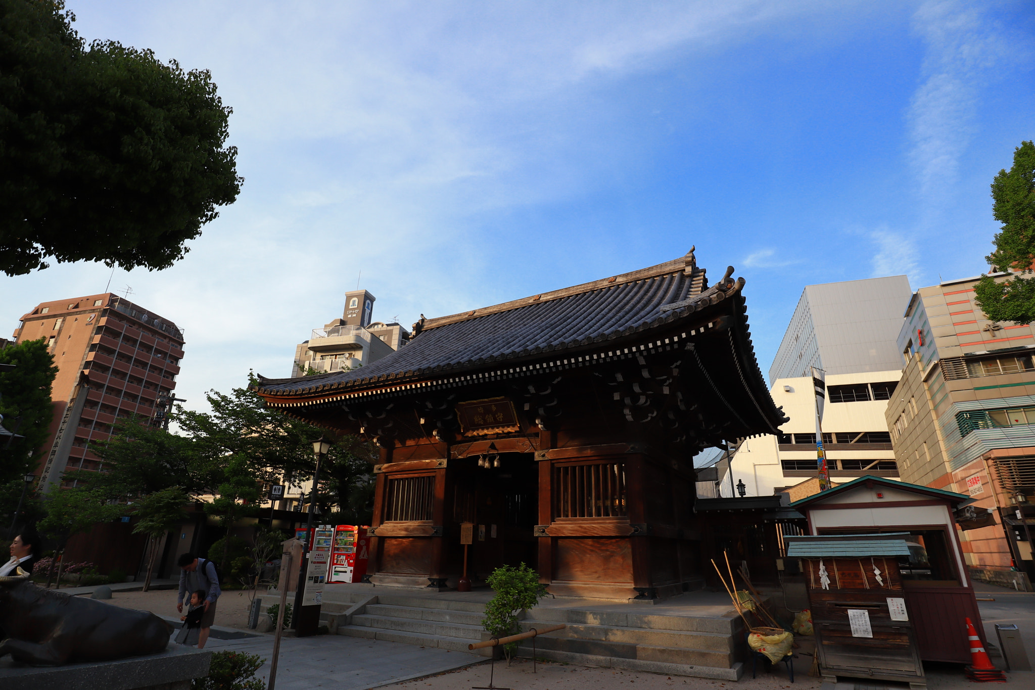 Canon EOS M50 (EOS Kiss M) sample photo. 004 photography