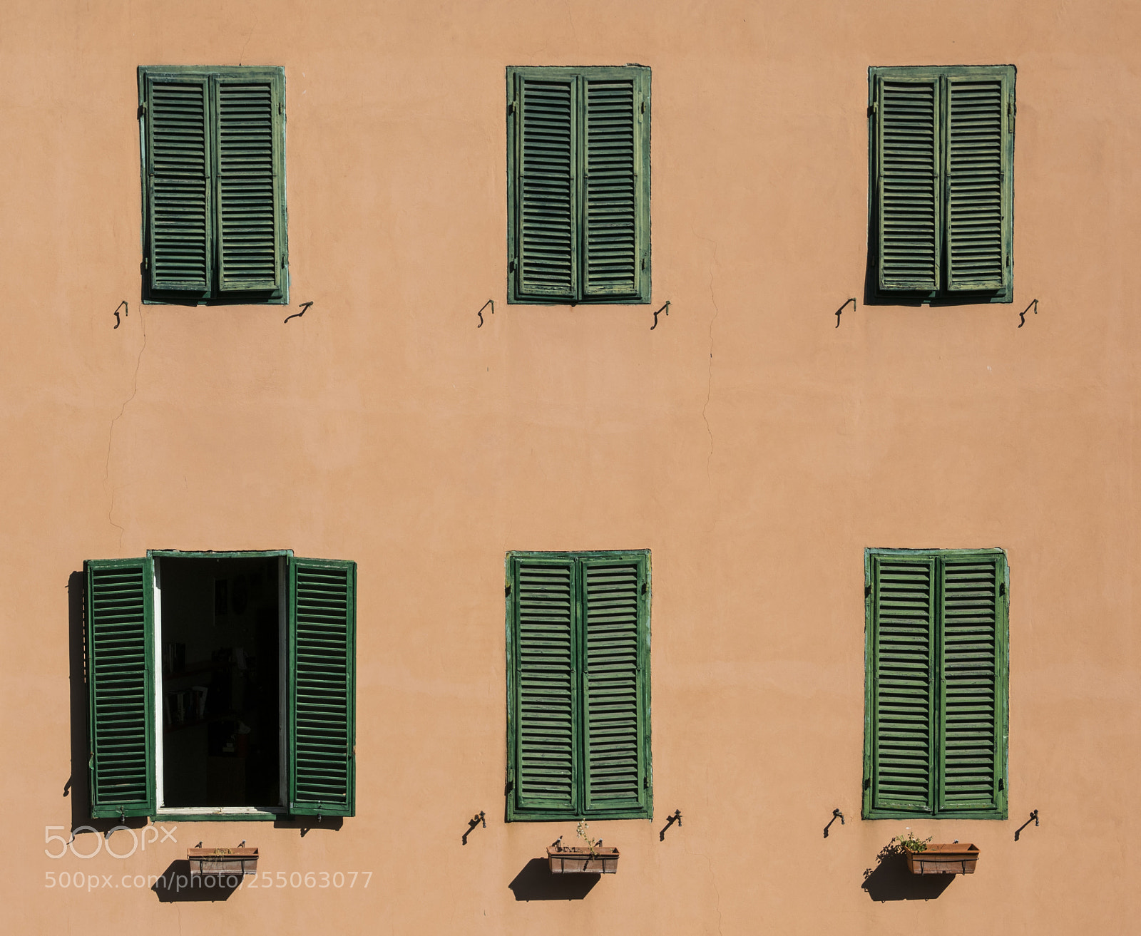 Nikon D5300 sample photo. Spot the not photography