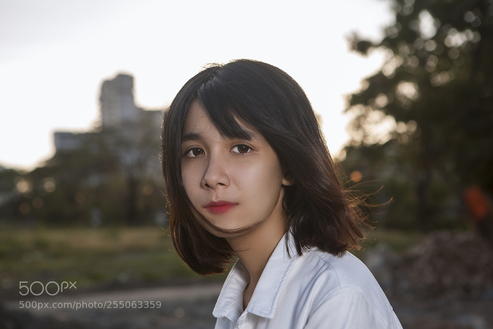 Canon EOS 5D Mark II sample photo. Img photography