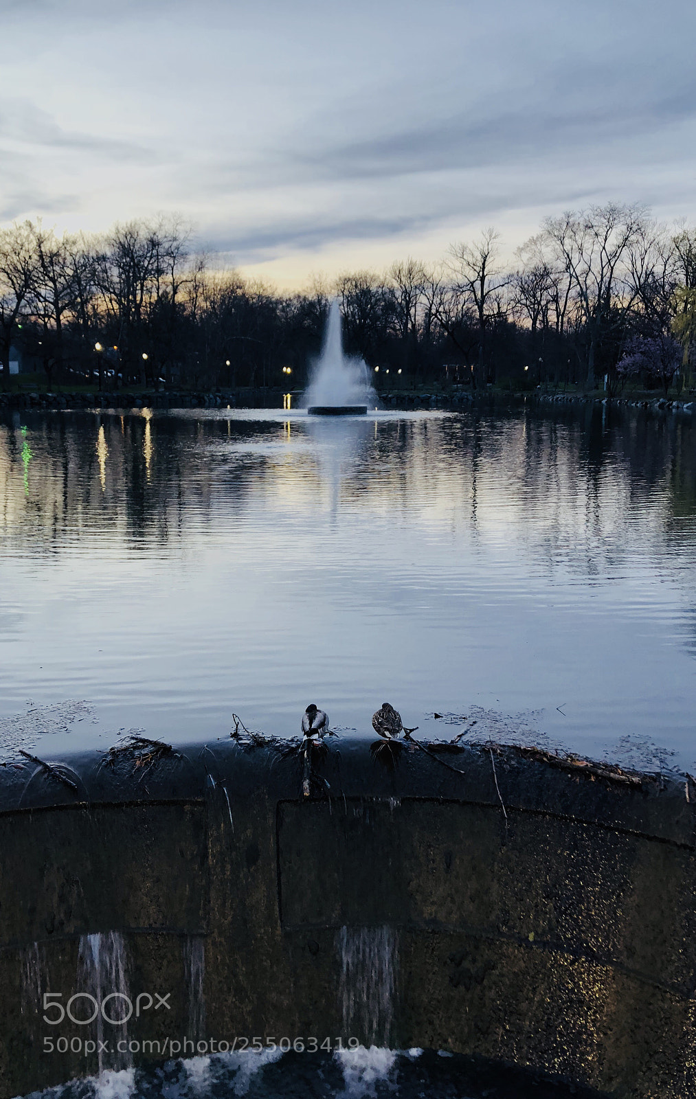 Apple iPhone 8 sample photo. Untitled photography