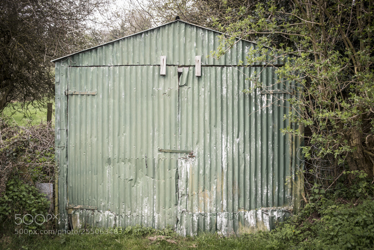 Nikon D800 sample photo. Greensleaves photography