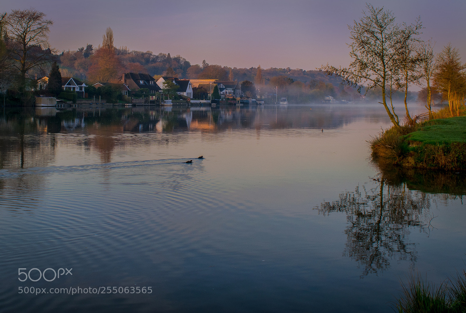 Nikon D3300 sample photo. River thames morning photography