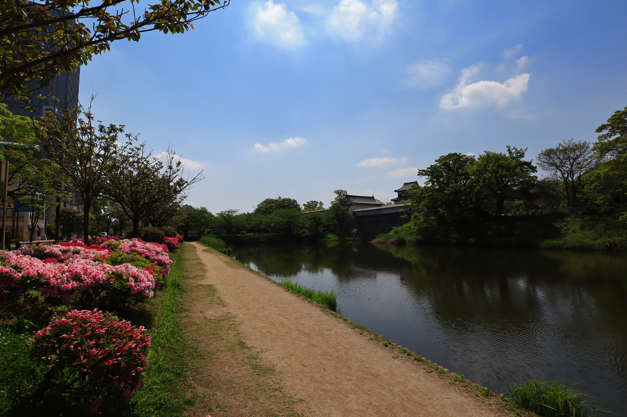 Canon EOS M50 (EOS Kiss M) + Canon EF-M 11-22mm F4-5.6 IS STM sample photo. 006 photography