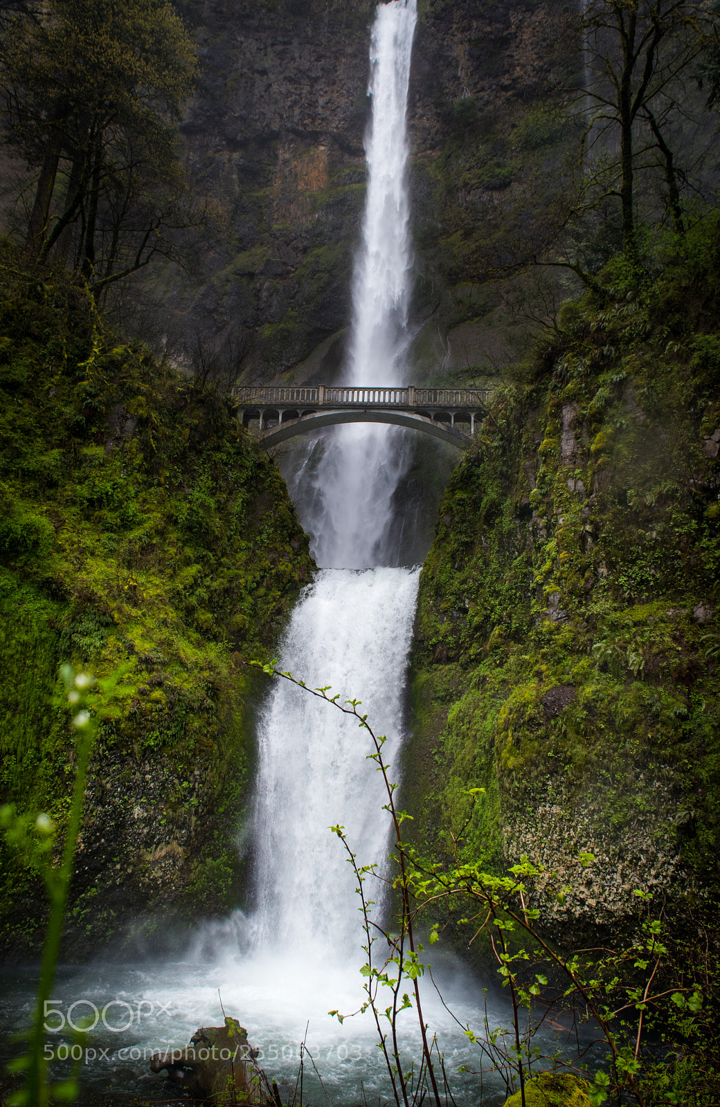 Nikon D5500 sample photo. The majestic falls! photography