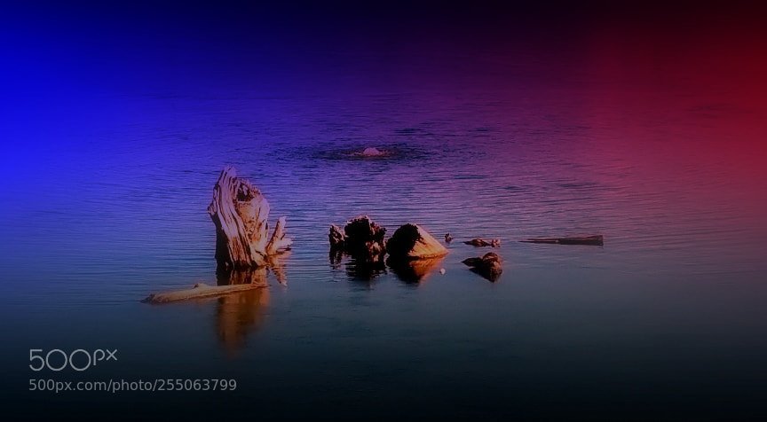 Samsung Galaxy Note4 sample photo. Lake color photography