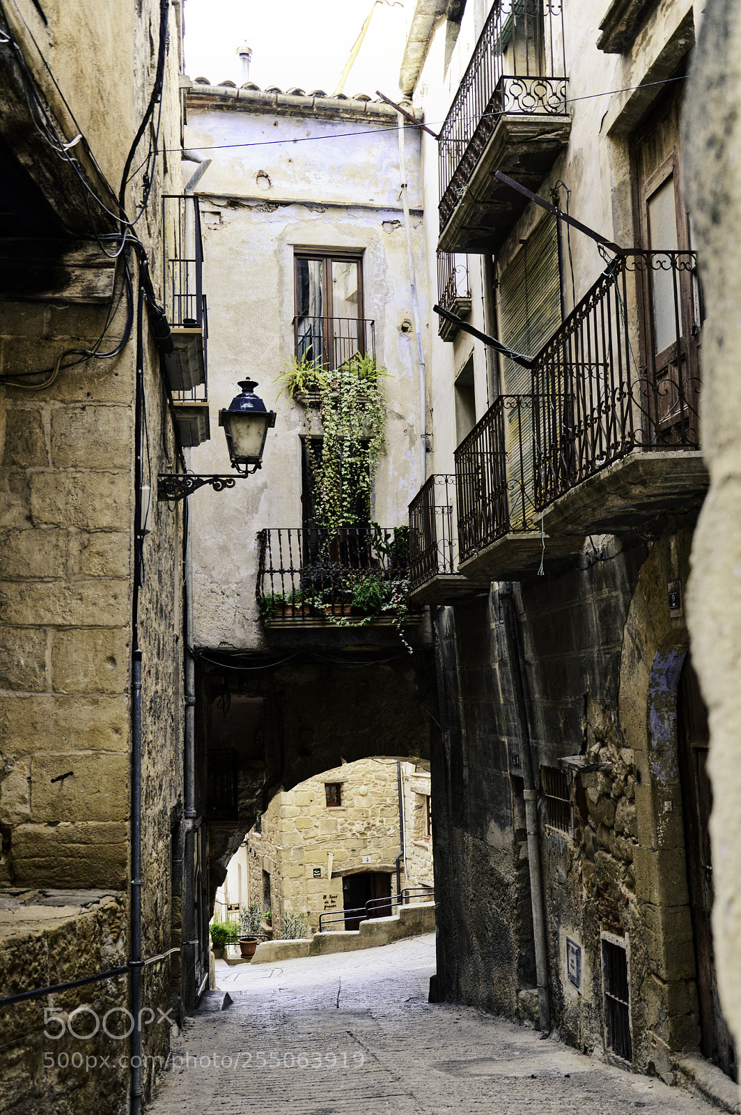 Nikon D3200 sample photo. El arco photography