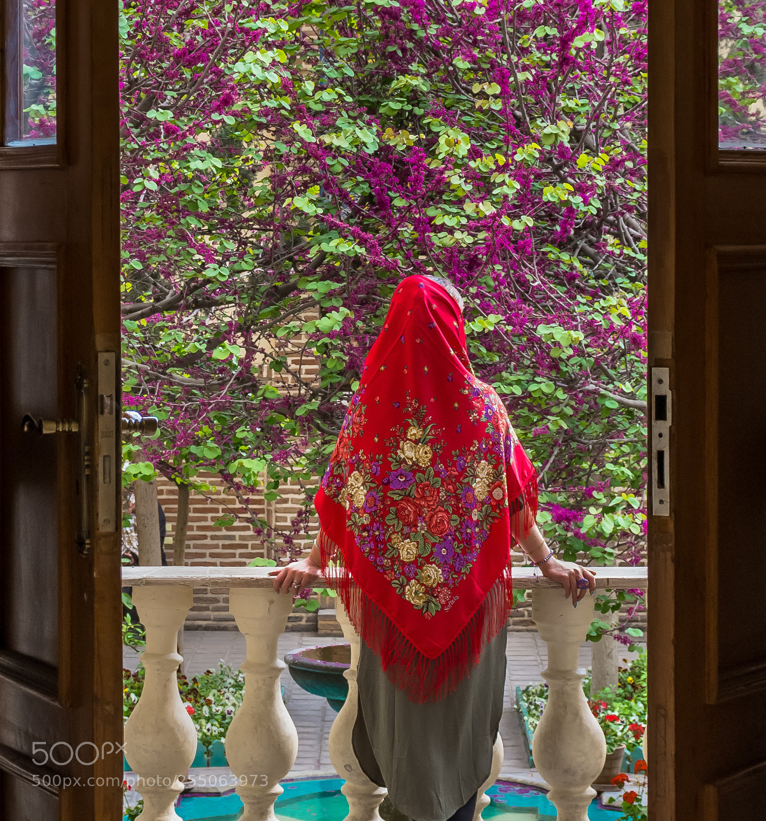 Nikon D7200 sample photo. Persian spring photography