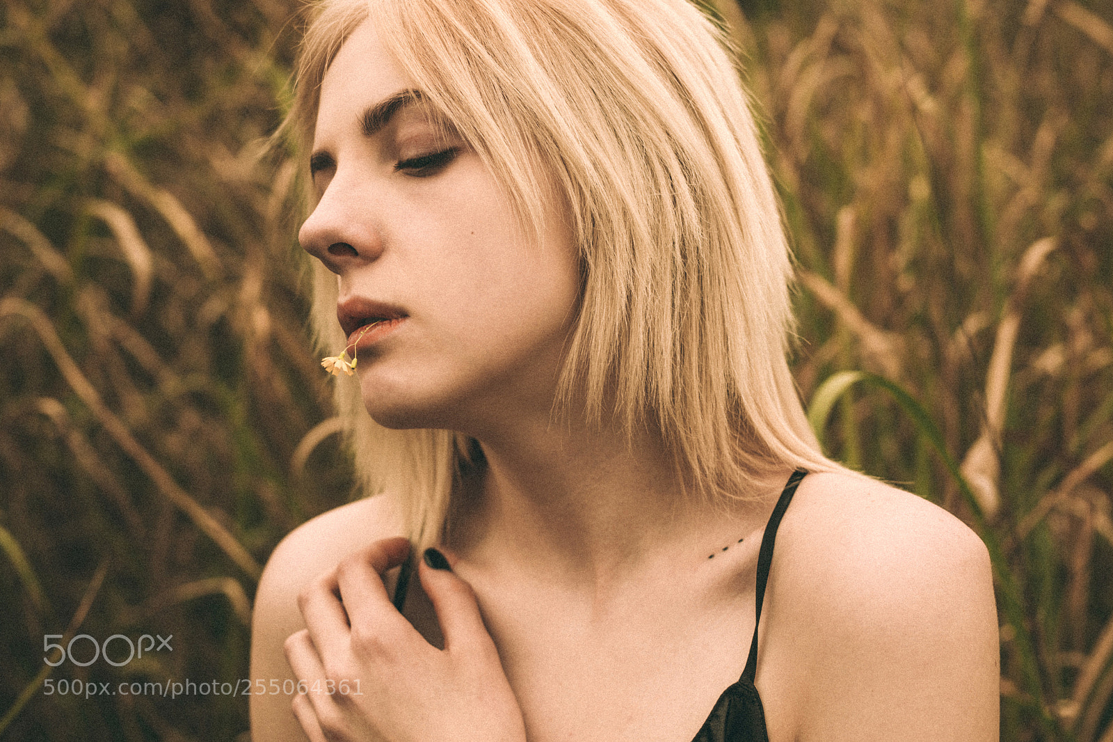 Canon EOS 5D Mark IV sample photo. Untitled photography