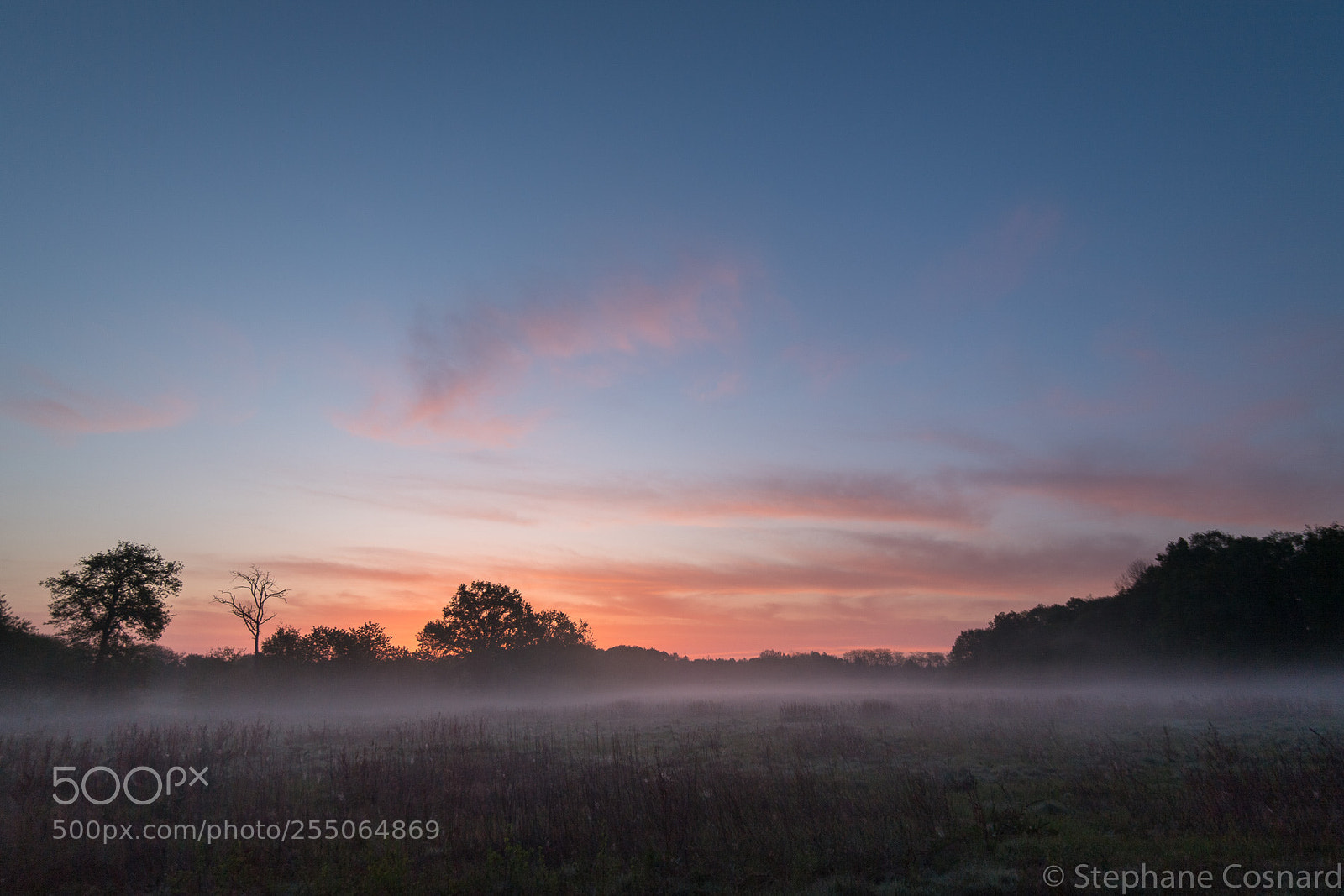 Nikon D5 sample photo. Early morning photography