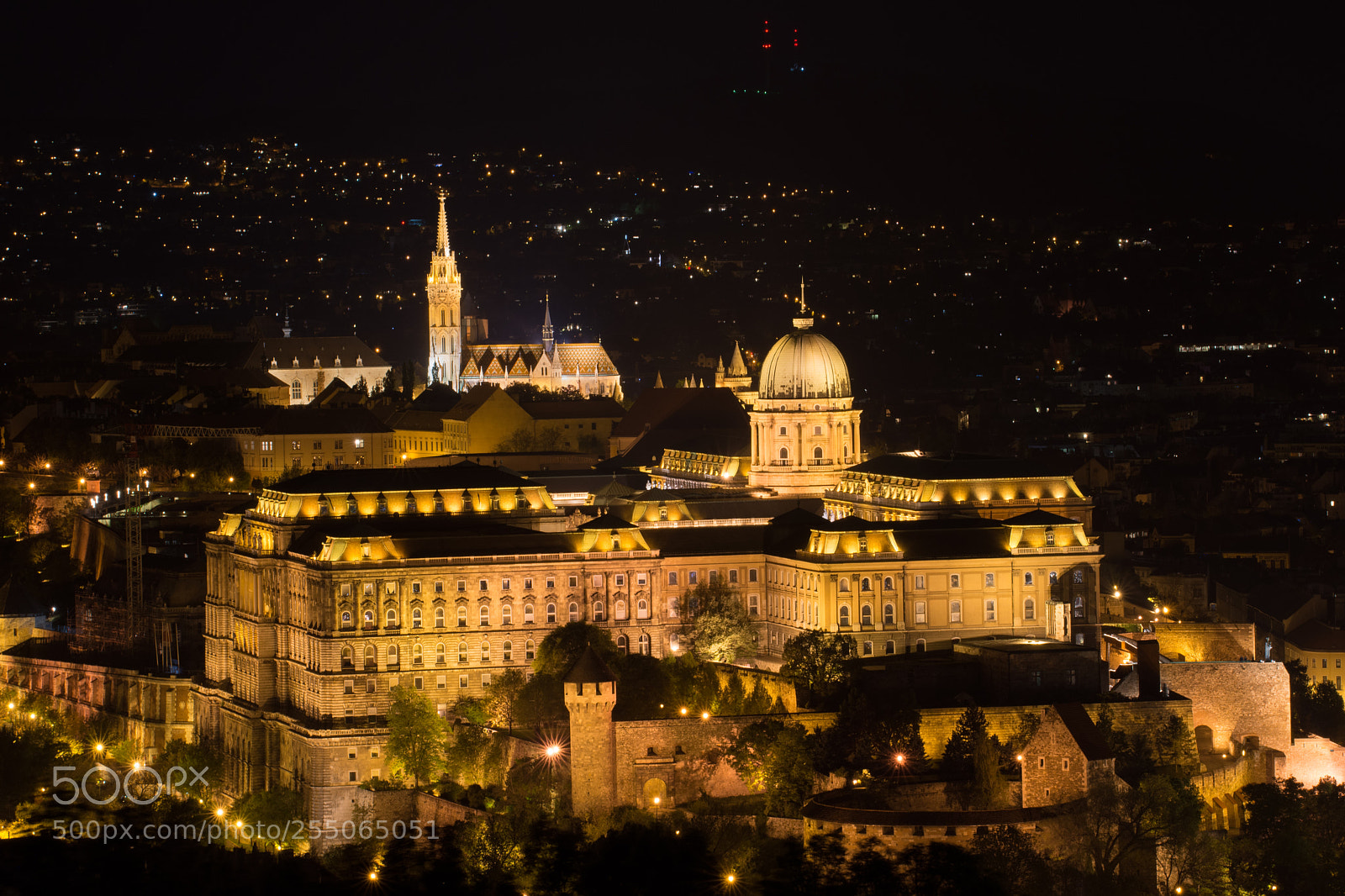 Nikon D7200 sample photo. Buda castle photography