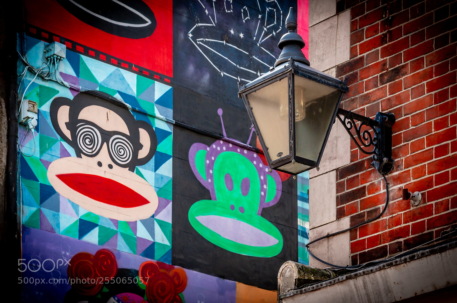 Canon EOS 70D sample photo. Space monkeys photography