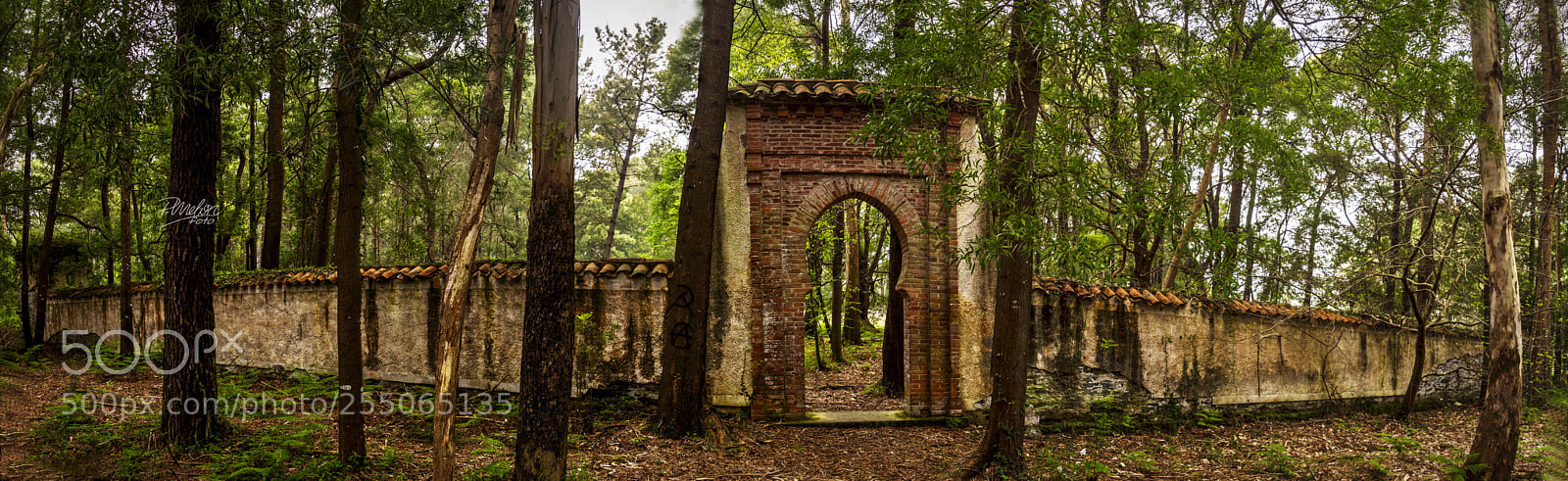 Sony SLT-A68 sample photo. Cementerio "moro" de barcia photography