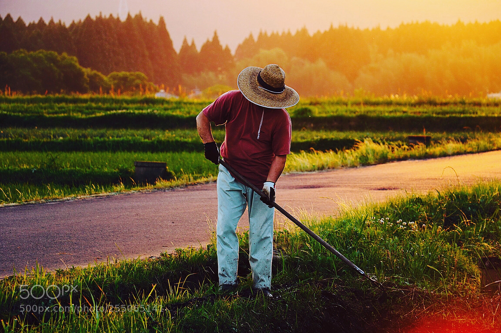 Canon EOS 7D Mark II sample photo. Farmers life photography