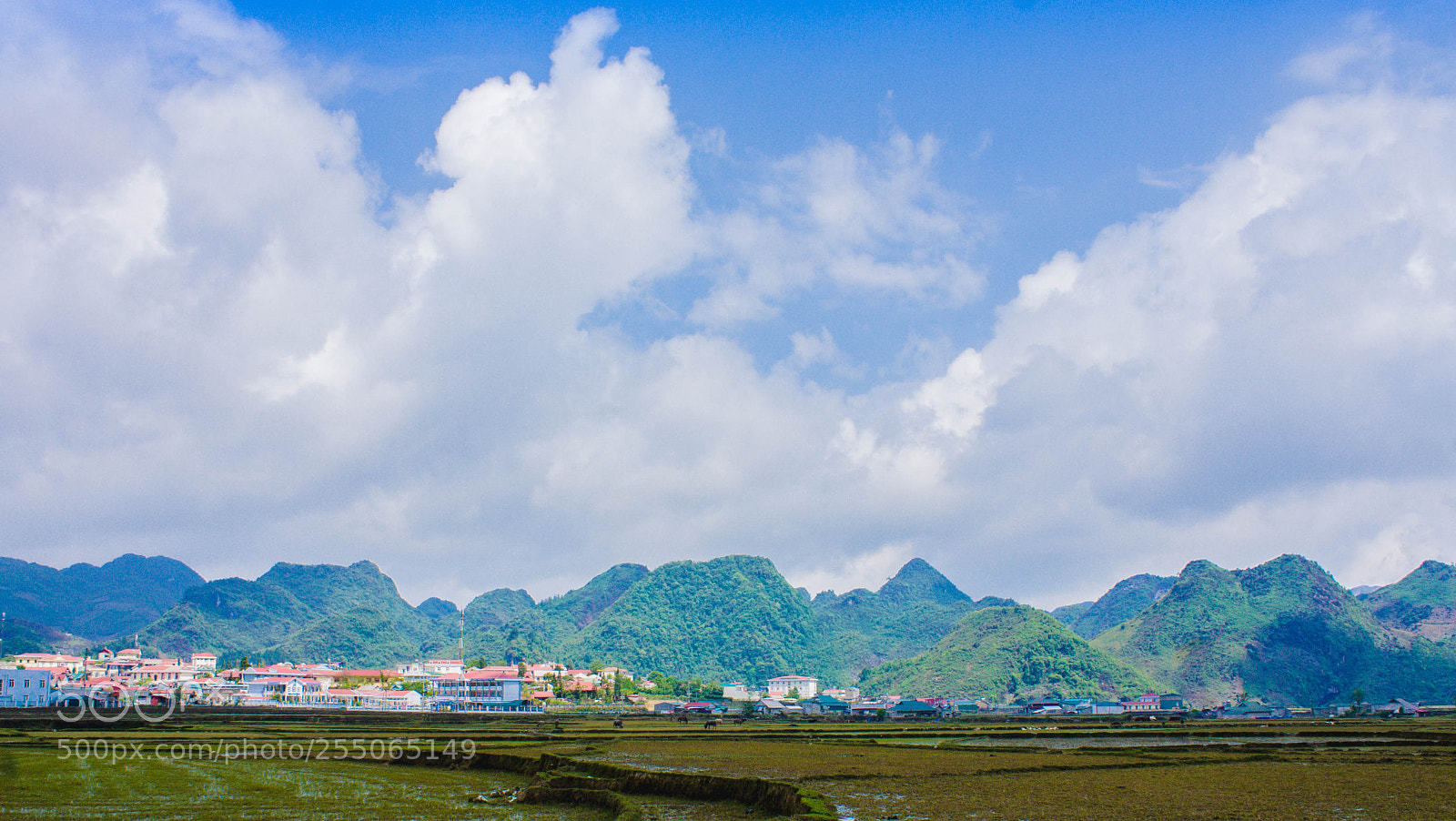 Canon EOS 40D sample photo. My town! photography