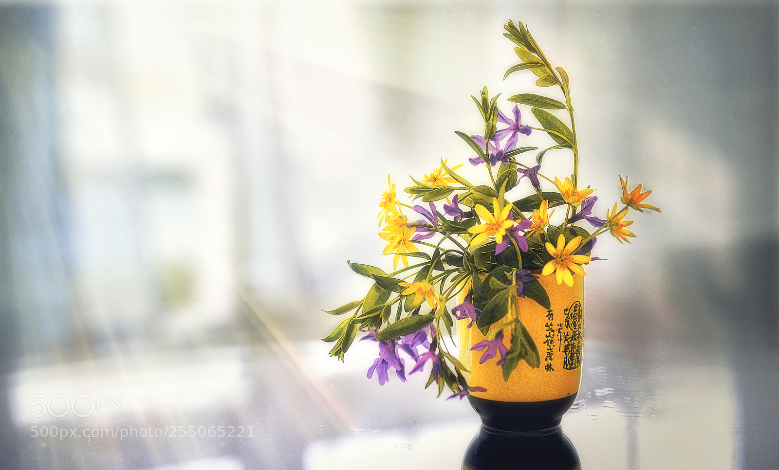 Nikon D610 sample photo. Spring in my house photography
