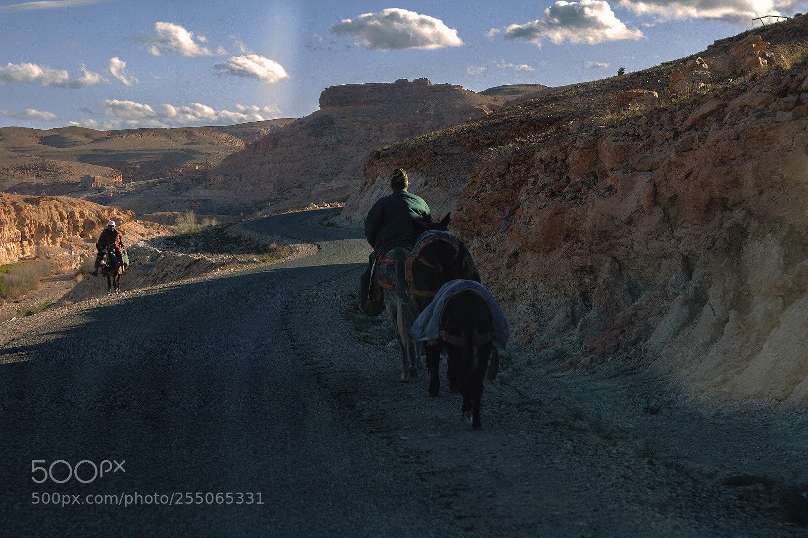 Canon EOS 70D sample photo. The donkeys photography