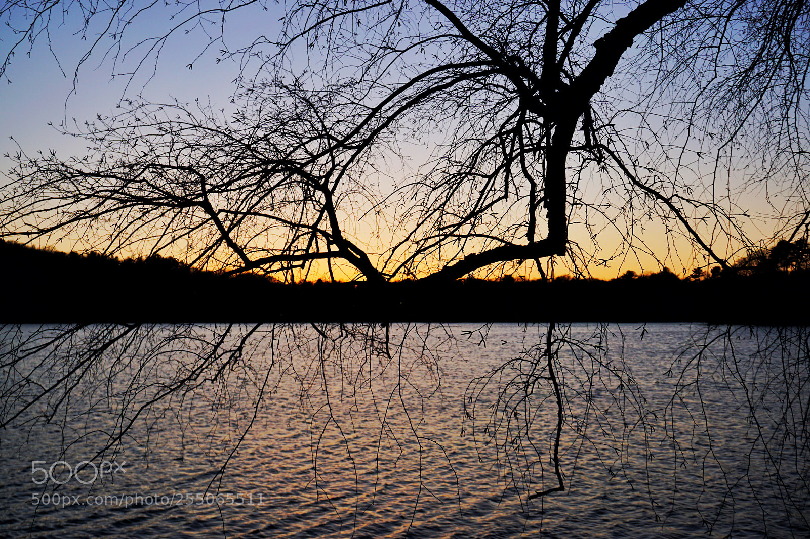 Sony a6000 sample photo. Jamaica pond at night photography