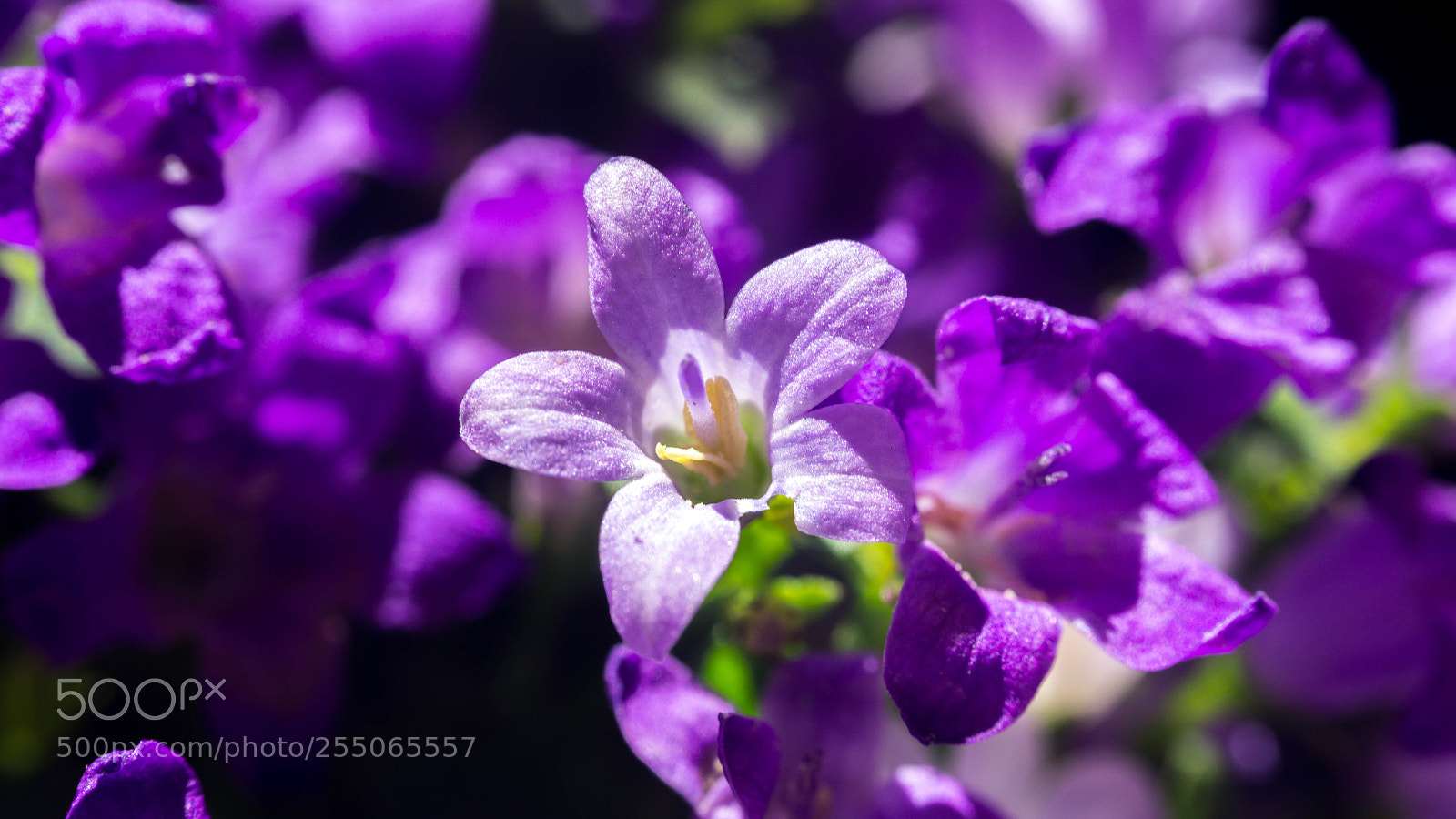 Sony a5100 sample photo. Ultra contraste photography