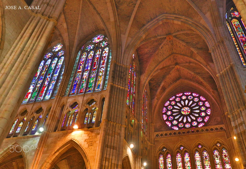 Canon EOS 80D sample photo. Catedral de leon photography