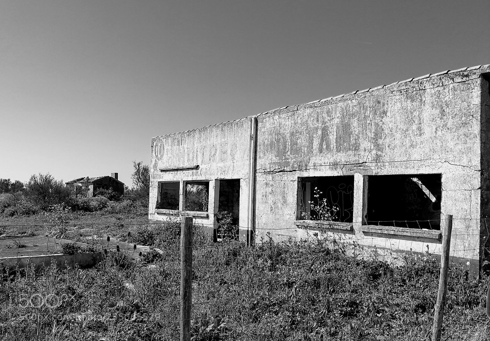 HUAWEI Honor 9 sample photo. Abandoned oysters selling place photography