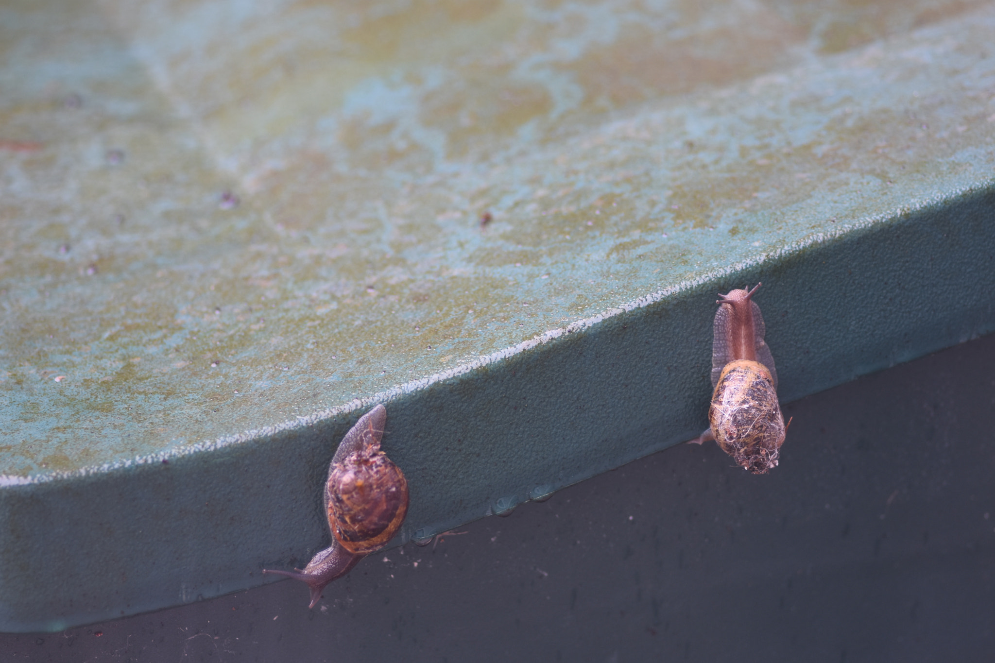 Nikon D7200 sample photo. Which way is up? photography
