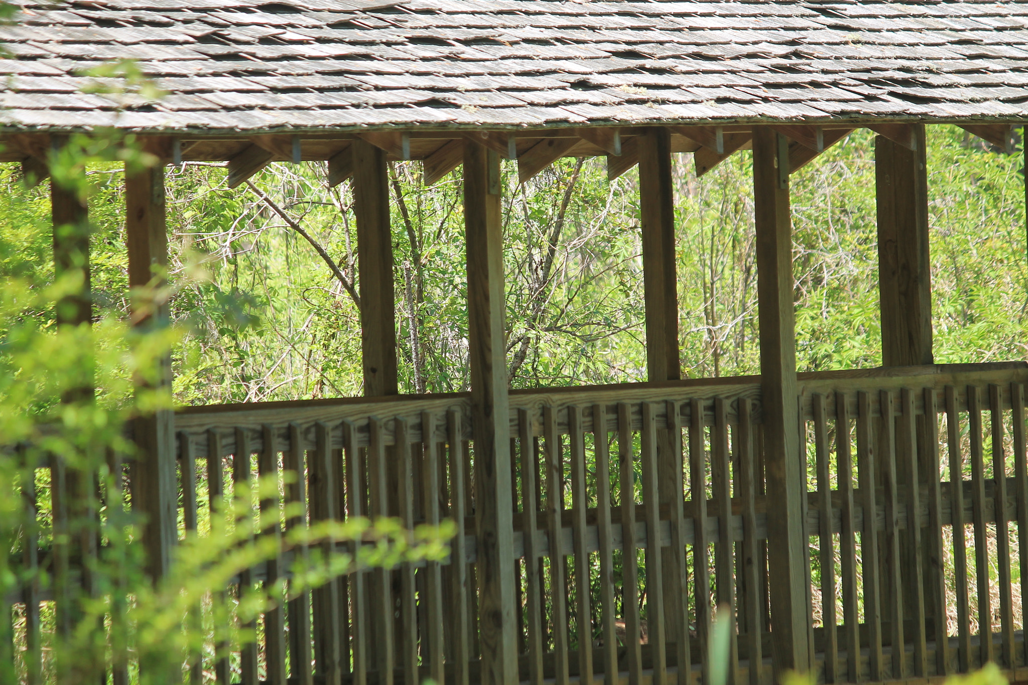 Canon EF-S 55-250mm F4-5.6 IS sample photo. Img photography