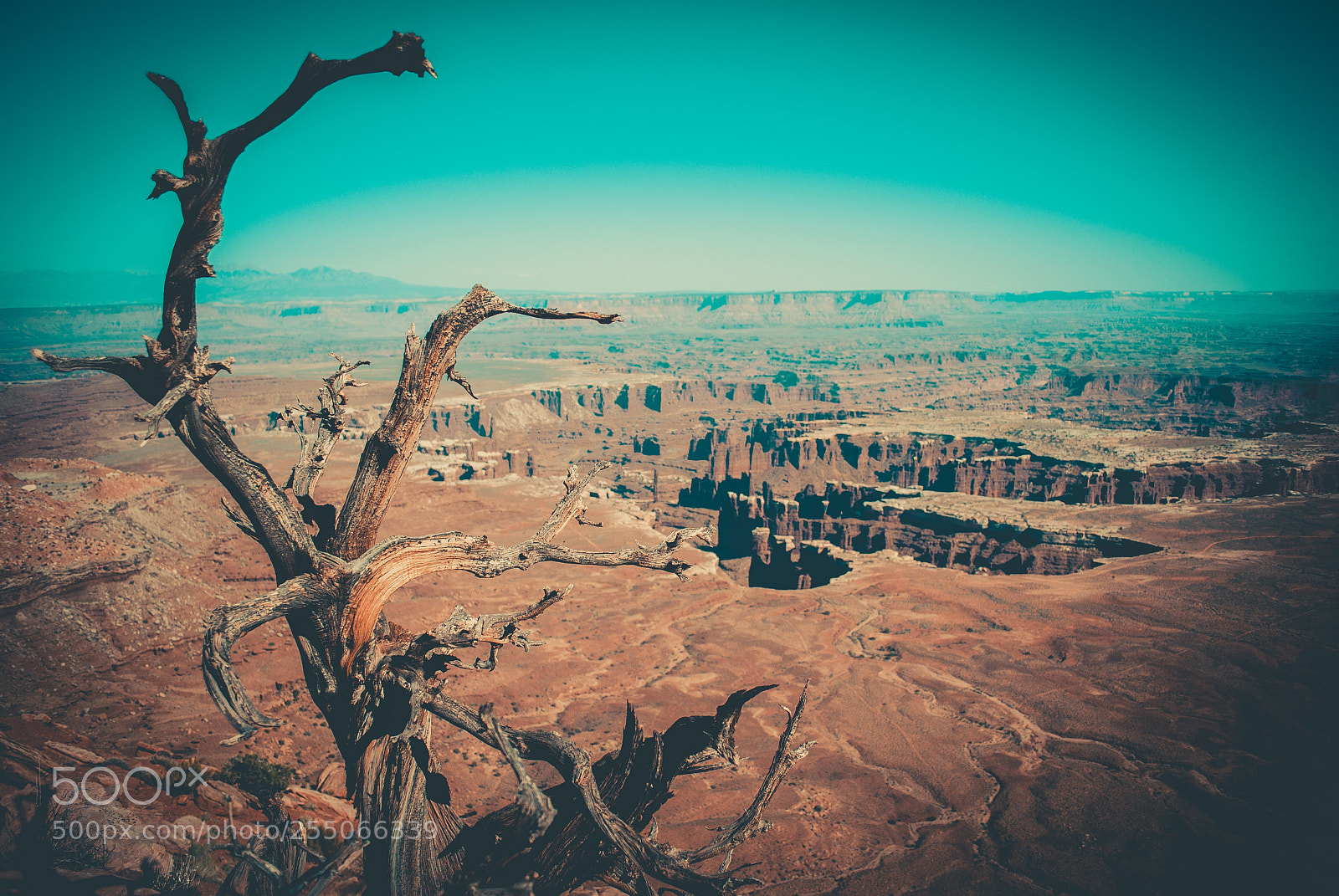 Nikon D3000 sample photo. Utah scape iv photography