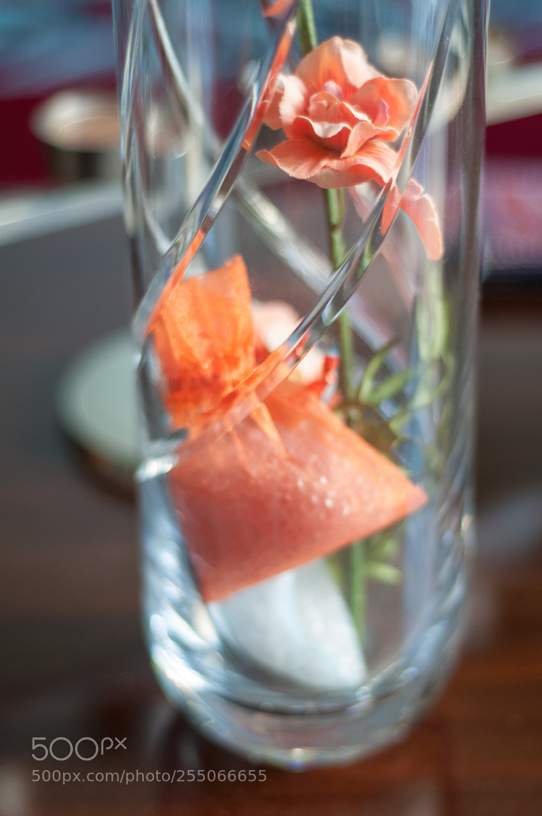 Nikon D90 sample photo. Flower photography