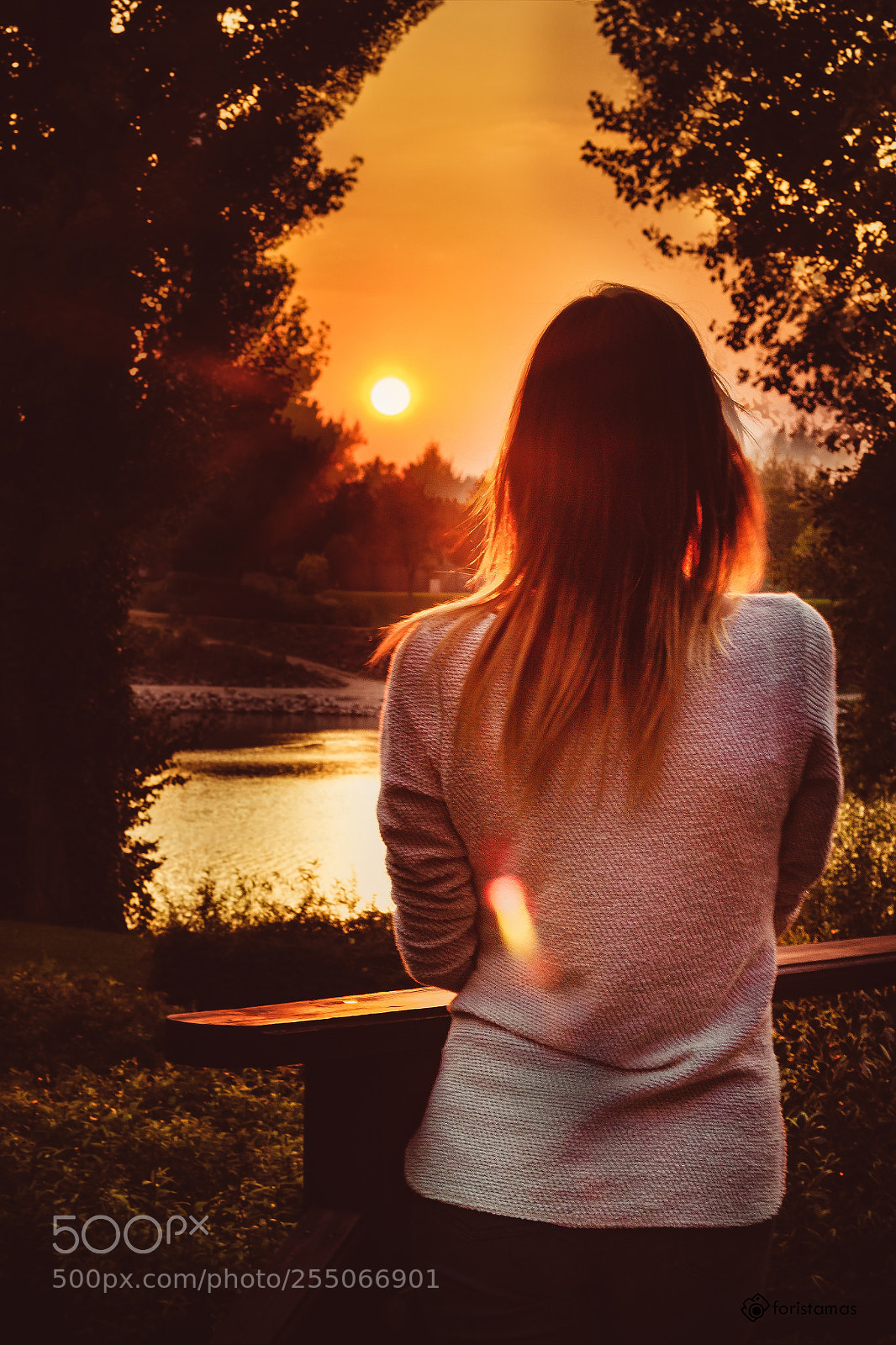 Canon EOS 60D sample photo. Sunset alone photography