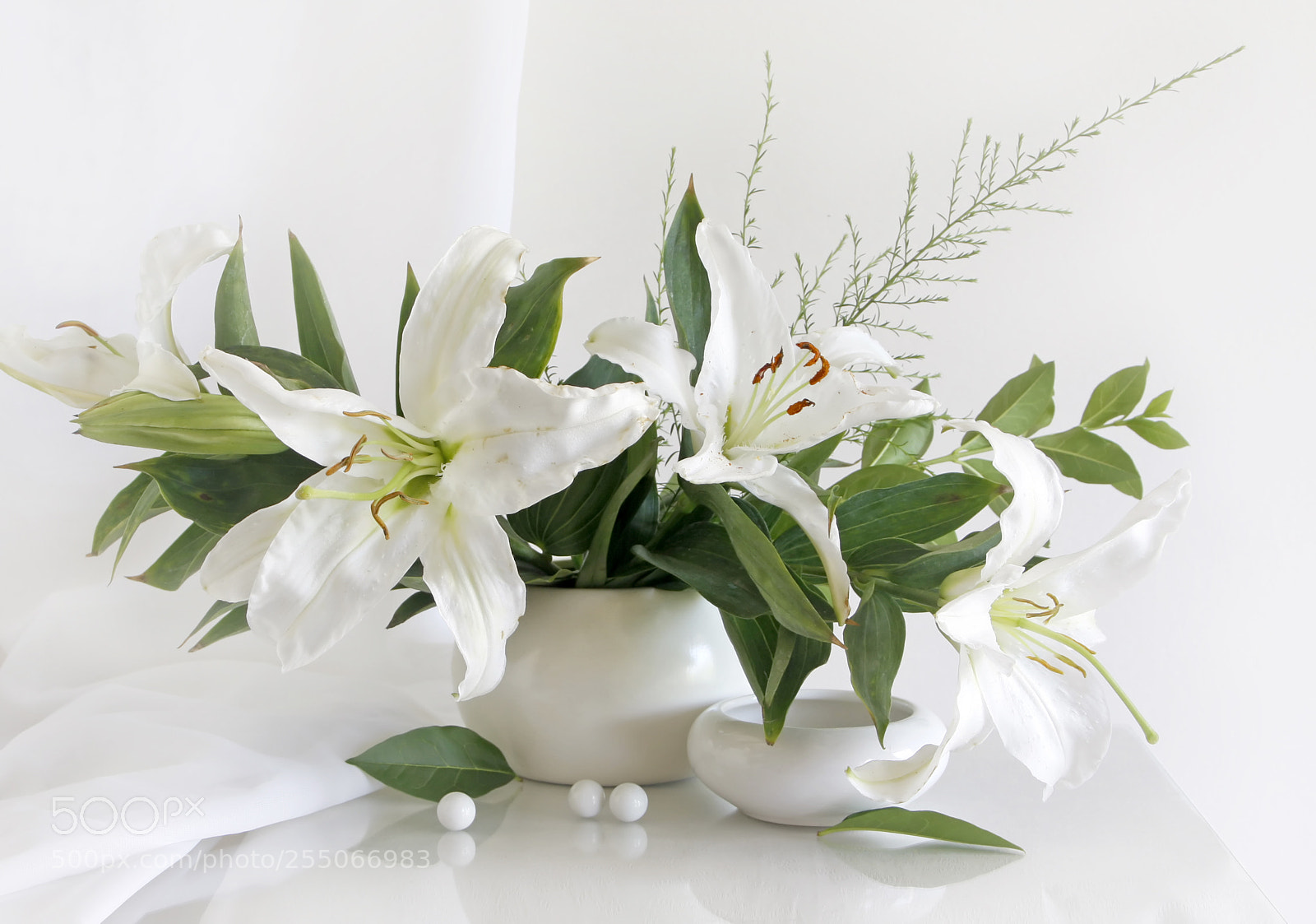 Canon EOS 40D sample photo. Whites lilys photography