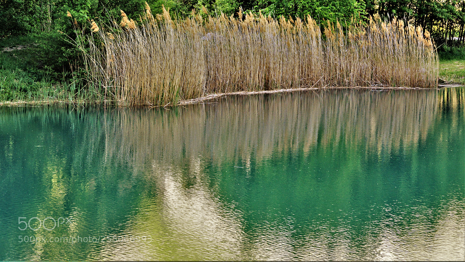 Nikon D3200 sample photo. Untitled photography